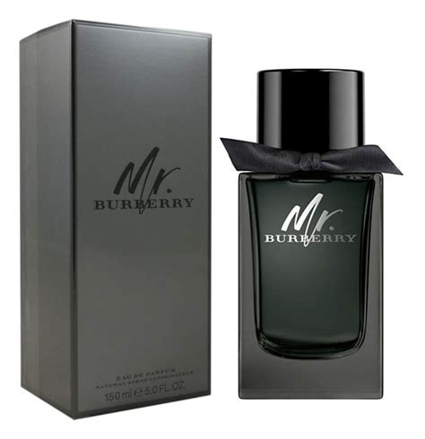 mr burberry eau de parfum|mr Burberry perfume review.